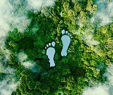 Nachhaltigkeit in Unternehmen