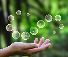 Verantwortung für das unternehmerische Handeln wahrnehmen