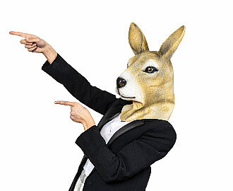 Das Känguru ist zurück