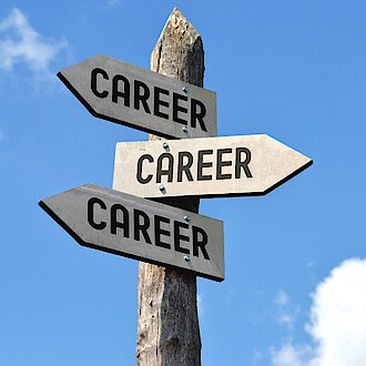 Lionstep Career Transfer Lionstep Career Transfer
